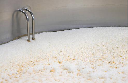 fermentation process in beer production