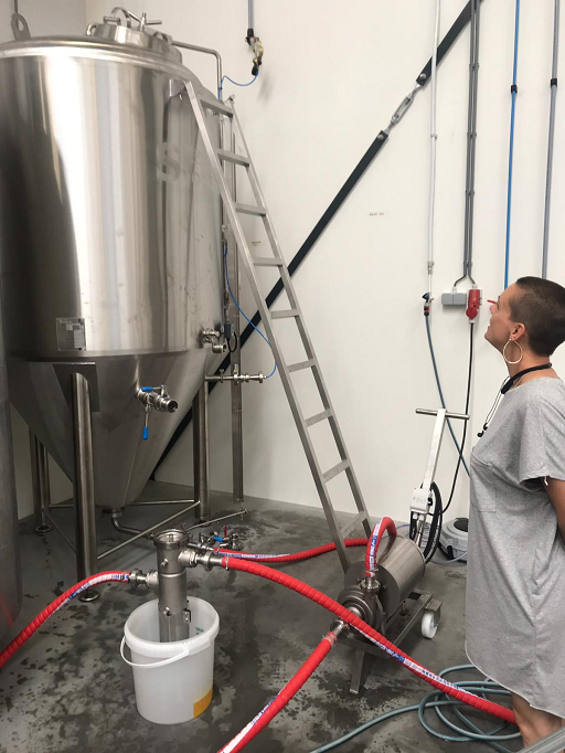 technology for the production of kombucha